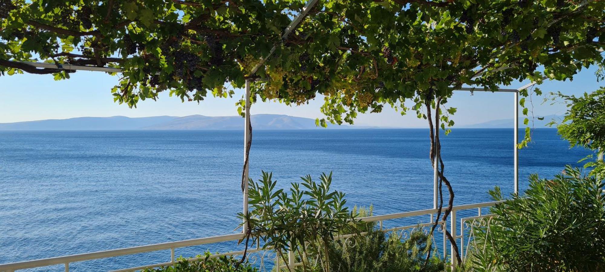 Guest House Perla Sveti Juraj Rum bild
